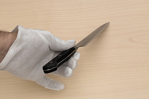 Tetsuhiro Blue steel 2 Petty knife 150mm (6") Black paper micarta