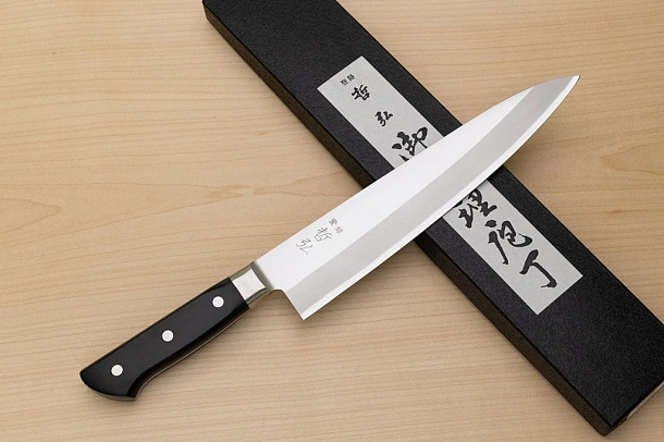 Tetsuhiro Blue steel 2 Gyuto knife 240mm (9.5") Black paper micarta